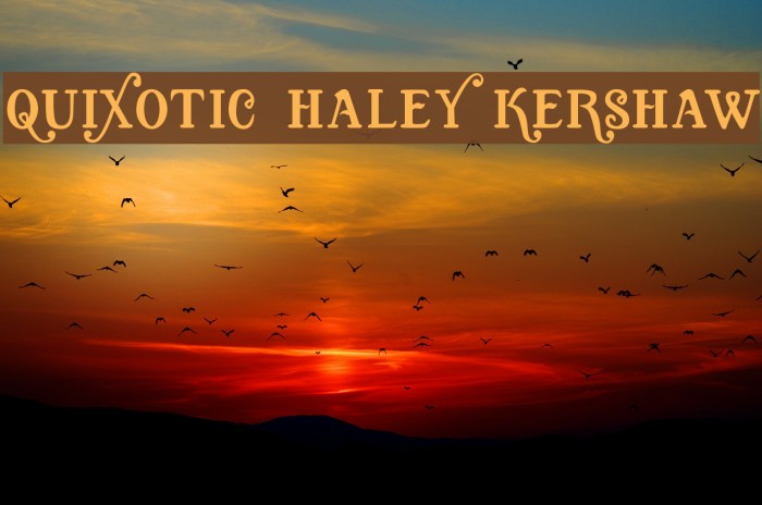Quixotic, Haley Kershaw Font examples