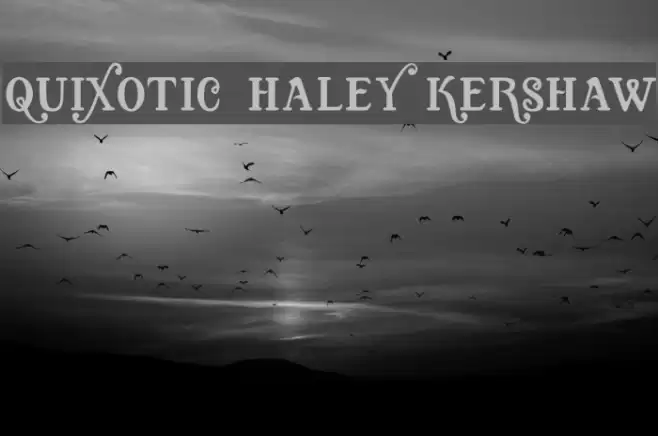 Quixotic, Haley Kershaw Шрифта examples