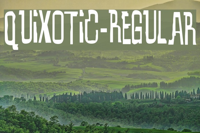 Quixotic-Regular Font examples