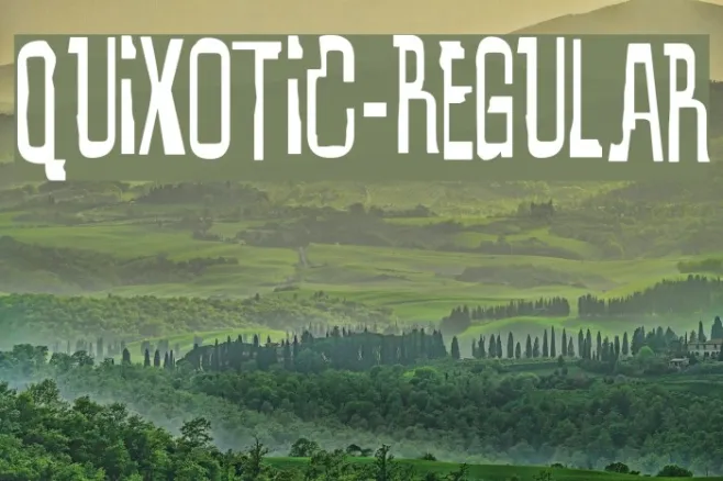 Quixotic-Regular Example 2