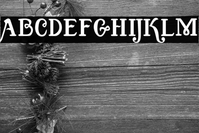 Quixotic Font examples