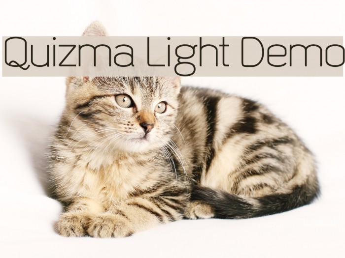 Quizma Light Demo Font examples