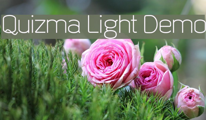 Quizma Light Demo Font examples