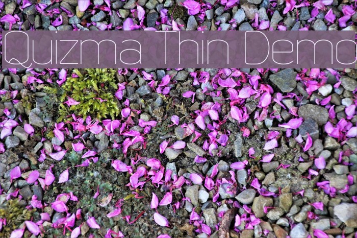 Quizma Thin Demo Font examples