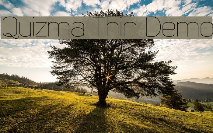 Quizma Thin Demo Font examples