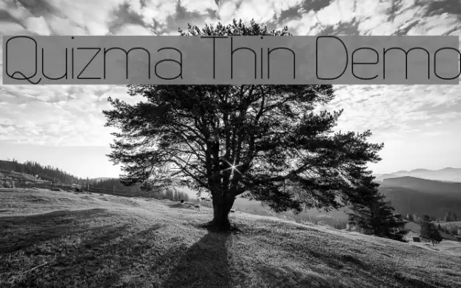 Quizma Thin Demo Font examples