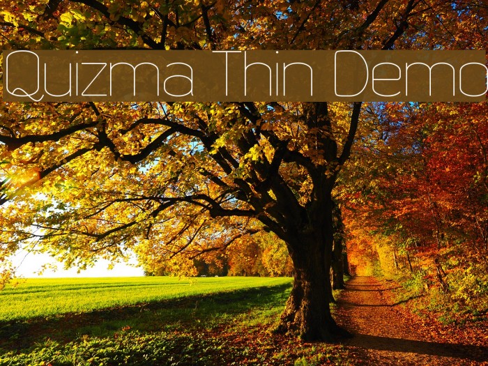 Quizma Thin Demo Font examples