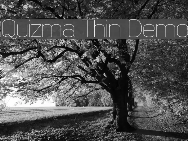 Quizma Thin Demo Font examples