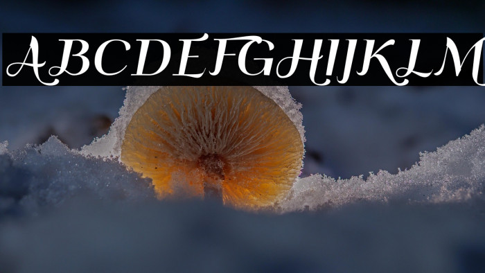 QumpellkaNo12 Example 2