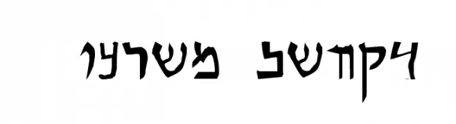 Qumran Caves  font caratteri gratis