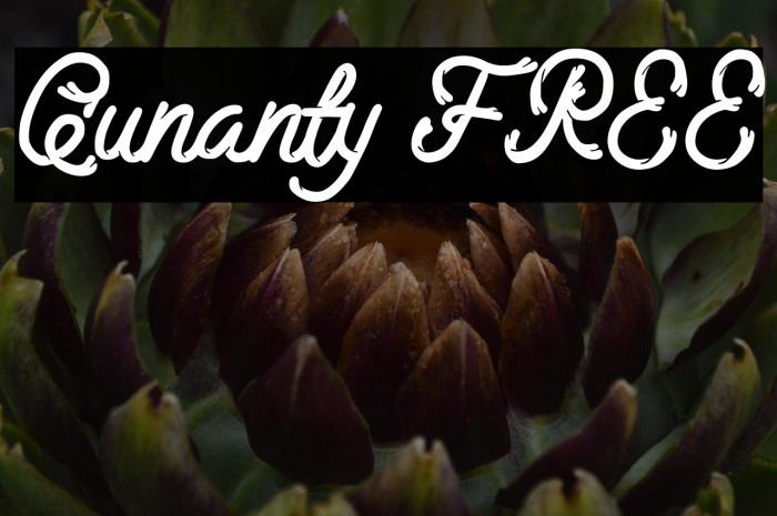 Qunanty FREE Example 1