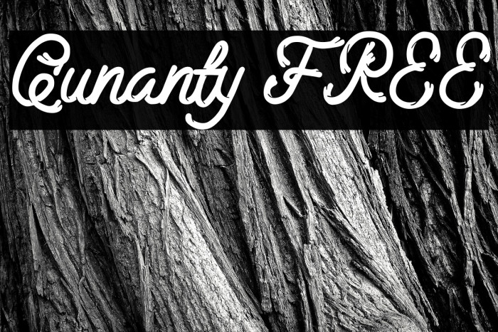 Qunanty FREE Example 2