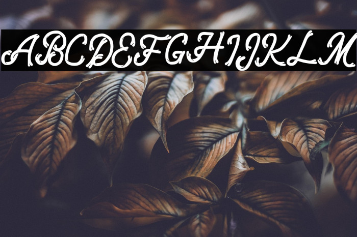 QunantyFREE Example 1