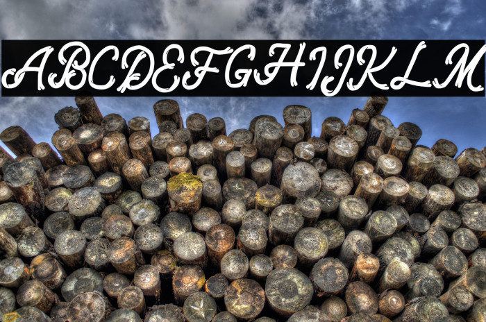 QunantyFREE Example 2