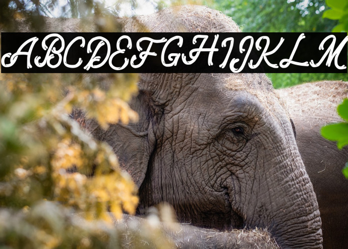 QunantyFREE Example 3