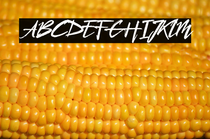 Qunka Demo Version Example 2