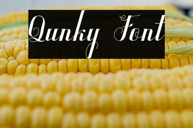 Qunky Example 2