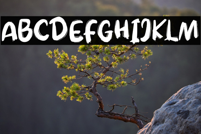 QunomyFREE Example 1