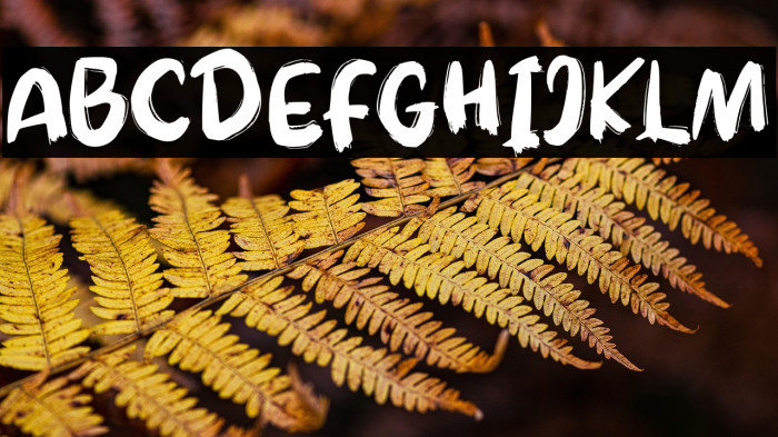 QunomyFREE Example 2