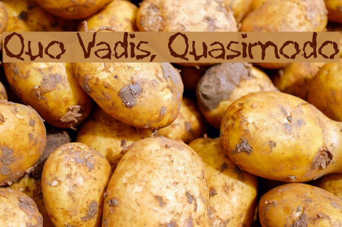Quo Vadis, Quasimodo Font examples