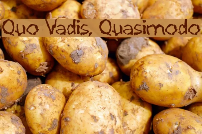 Quo Vadis, Quasimodo Example 3
