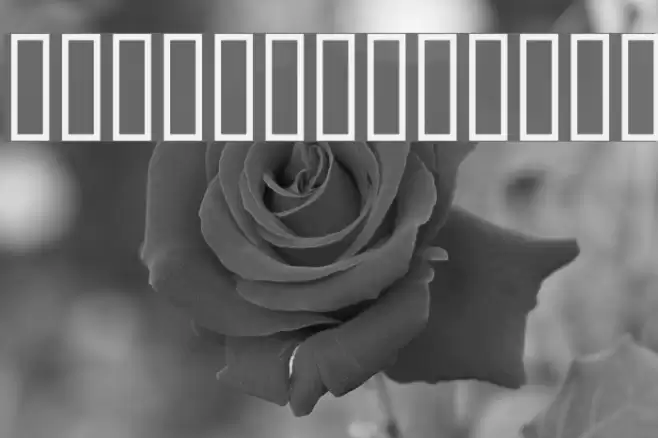 Quo Vadis Font examples