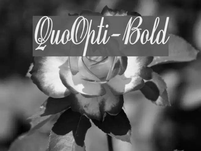 QuoOpti-Bold Font examples