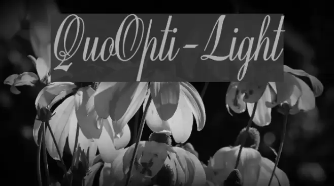 QuoOpti-Light Font examples