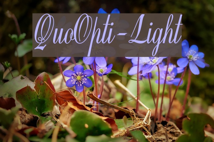 QuoOpti-Light Font examples