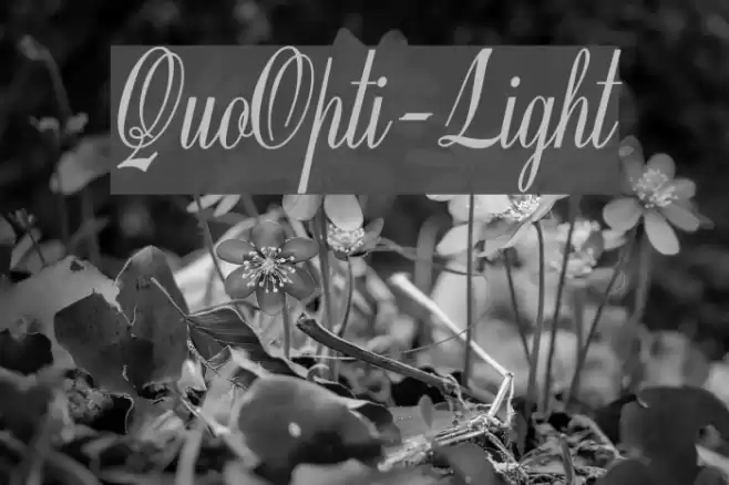 QuoOpti-Light Font examples