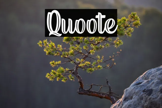 Quoote Example 3