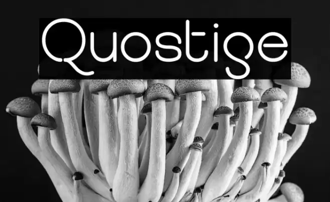 Quostige Font examples