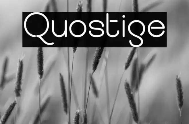 Quostige Font examples