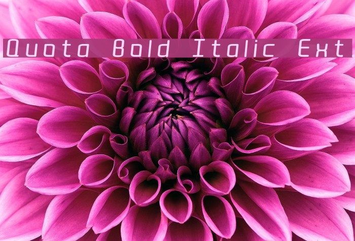 Quota Bold Italic Ext. Font examples
