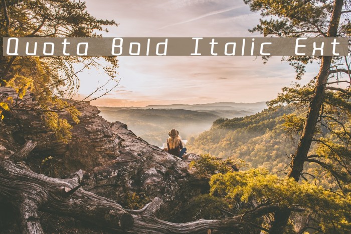 Quota Bold Italic Ext. Font examples