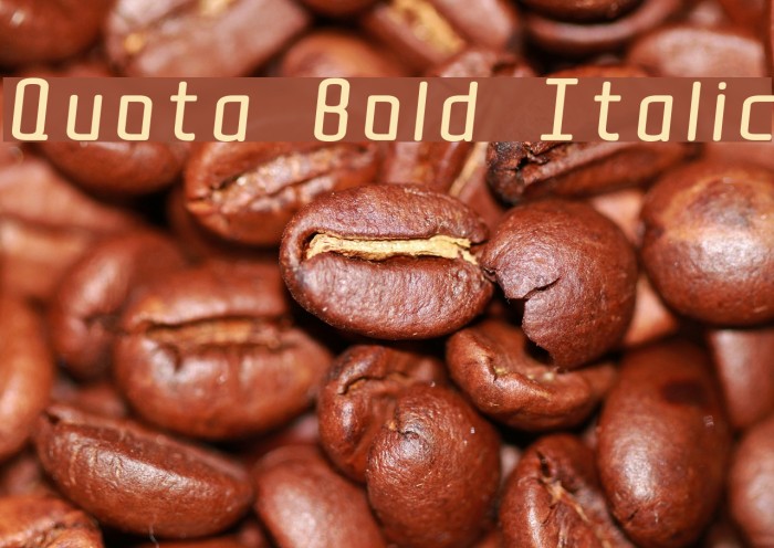 Quota Bold Italic Font examples