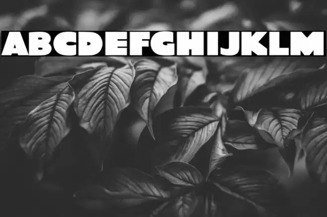 Quota Bold Font examples