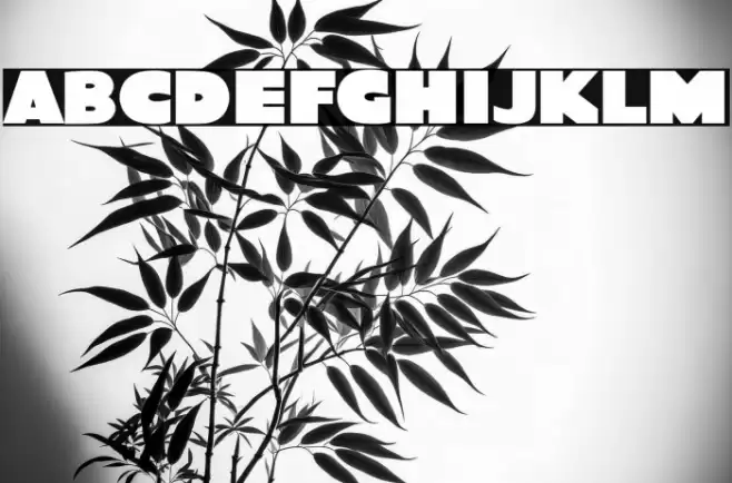 Quota Bold Font examples