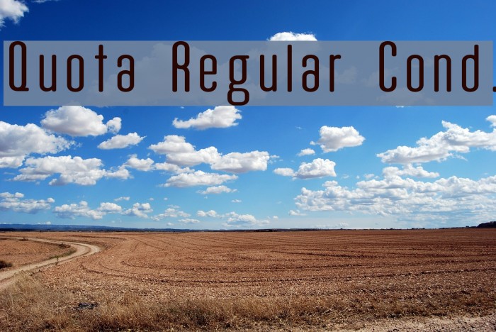 Quota Regular Cond. Example 1