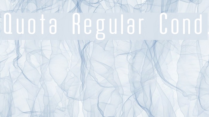 Quota Regular Cond. Example 2