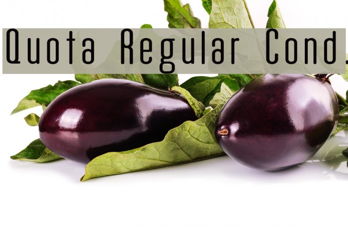 Quota Regular Cond. Example 3