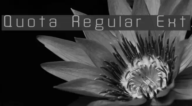 Quota Regular Ext. Font examples