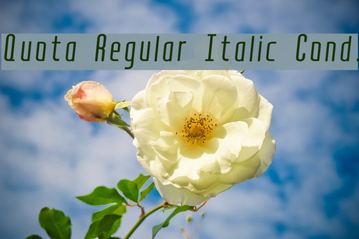 Quota Regular Italic Cond. Font examples