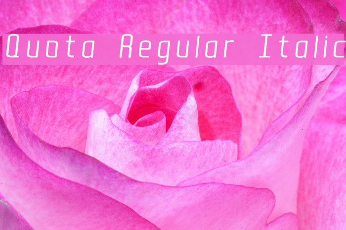 Quota Regular Italic Example 1