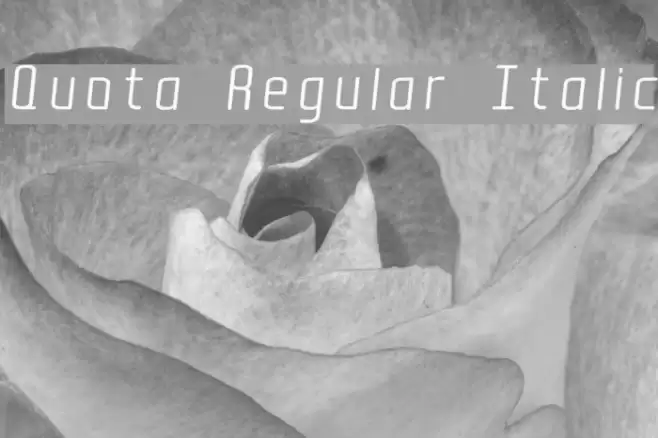 Quota Regular Italic Font examples