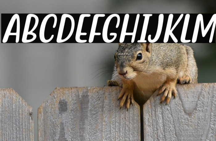 Quotable-Italic Example 3