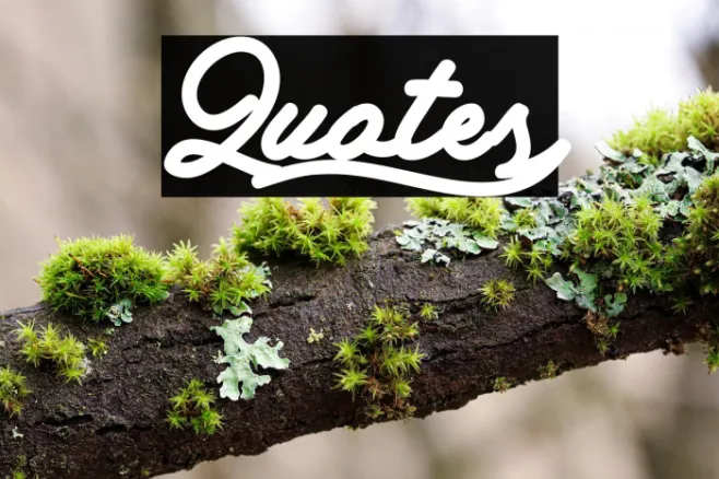 Quotes Example 1