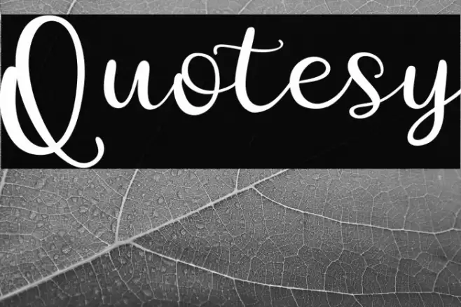 Quotesy Font examples