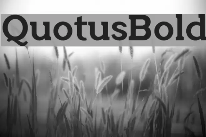 QuotusBold Font examples