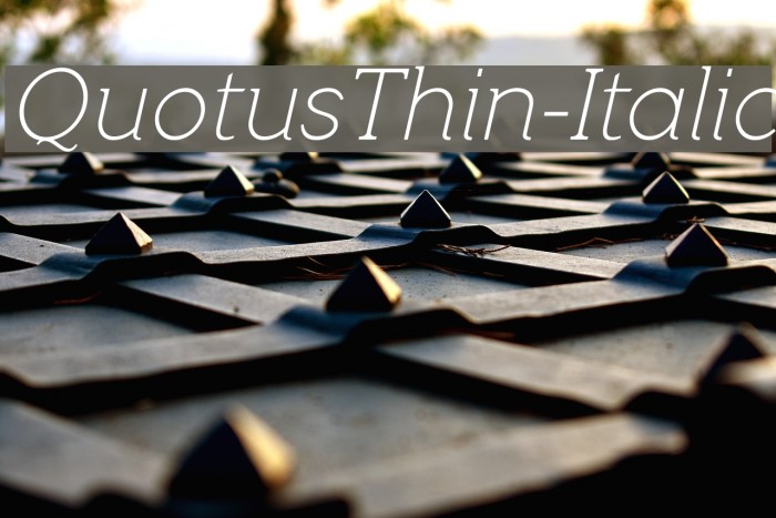 QuotusThin-Italic Font examples